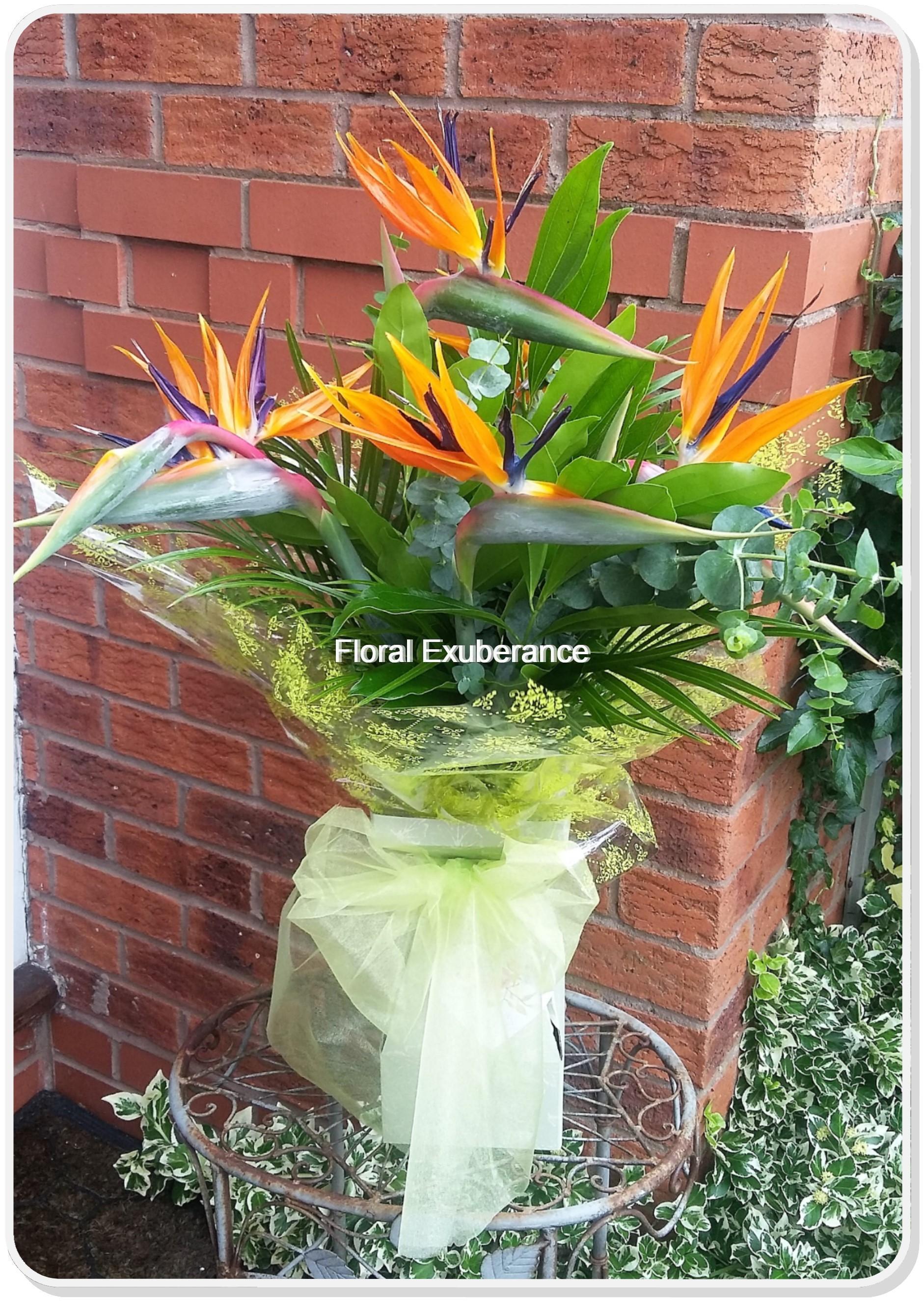 Birds of Paradise Gift Bouquet – Floral Exuberance